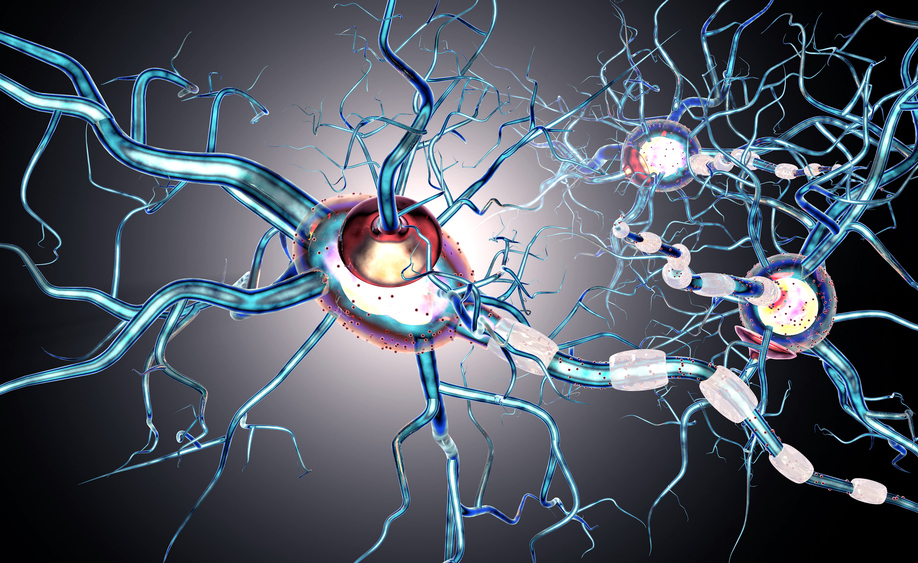 sclerosi multipla: trattarla con il trapianto di cellule staminali