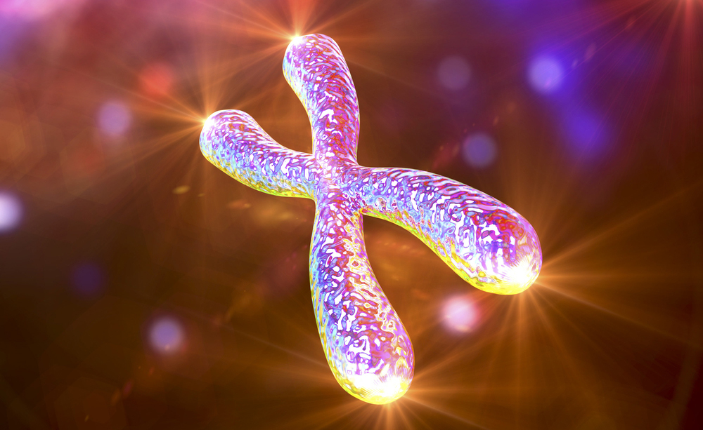 La lunghezza dei telomeri è importante per una vita lunga