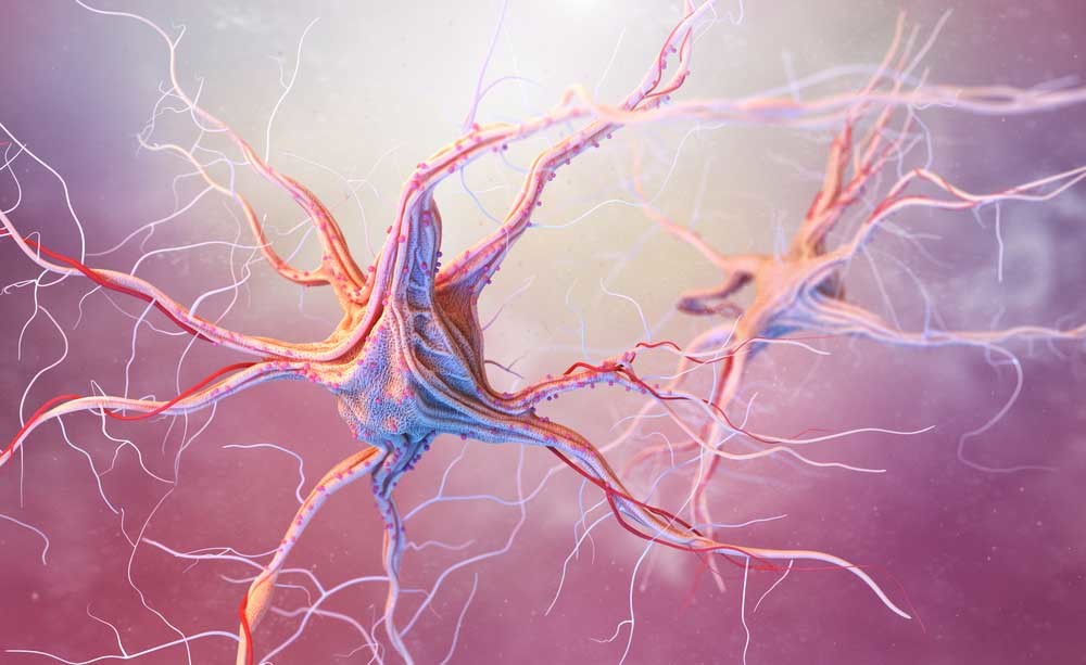 epilessia: i sintomi e le cure per questa malattia neurologica