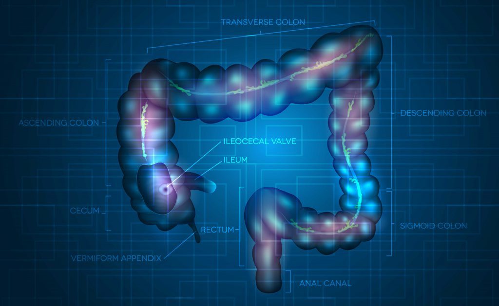 colonscopia virtuale: in cosa consiste