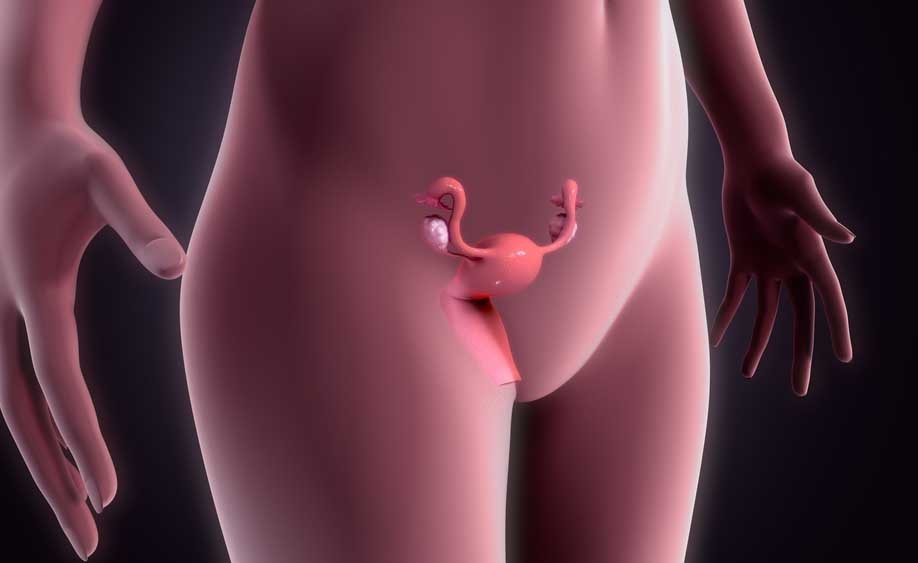 ciclo mestruale: i benefici