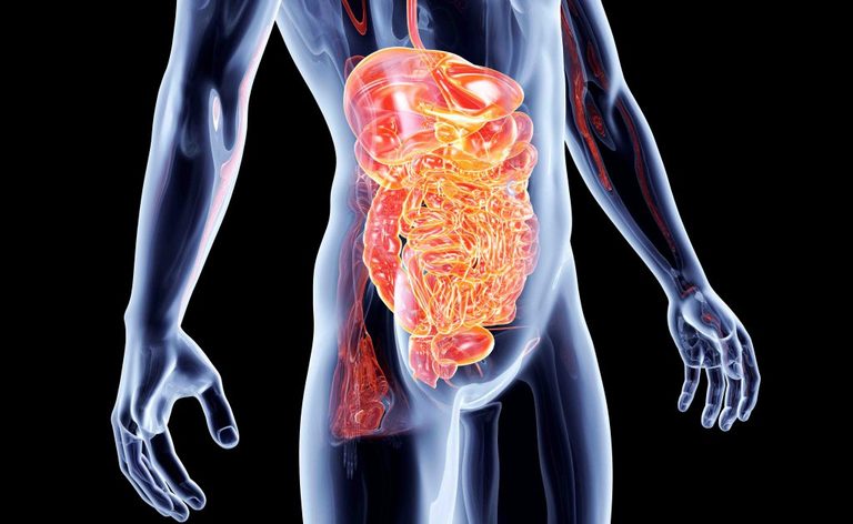 gastroenterite: le cause del disturbo allo stomaco