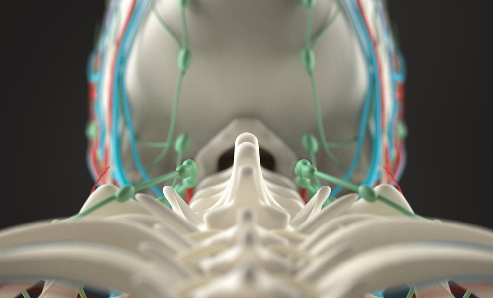 colonna vertebrale: i tipi di intervento