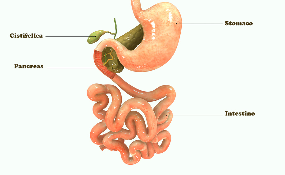 celiachia: i sintomi