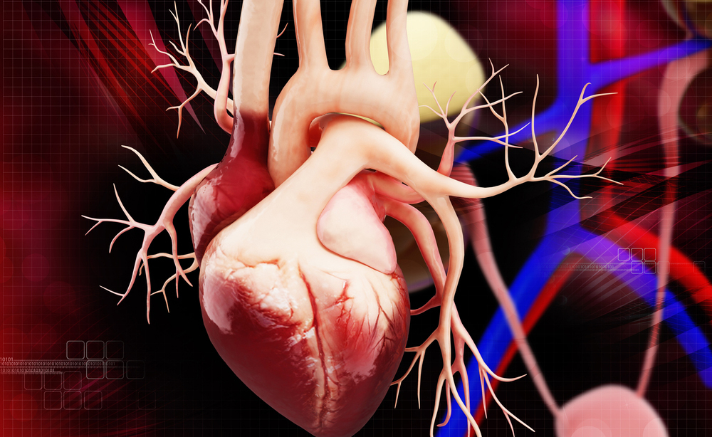 cardiochirurgia: gli interventi mininvasivi al cuore