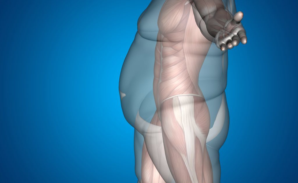 dieta mediterranea per prevenire obesità e diabete