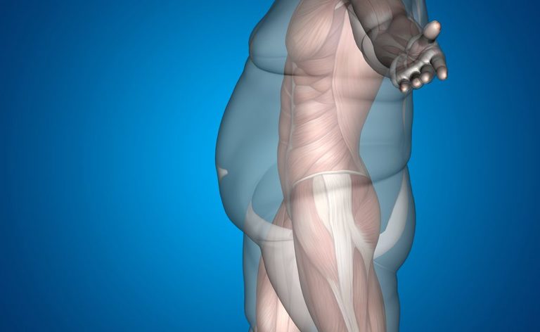 dieta mediterranea per prevenire obesità e diabete