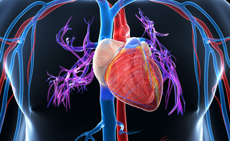 insufficienza cardiaca: le cause