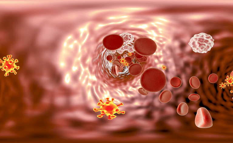 hiv: come si trasmette la malattia virale