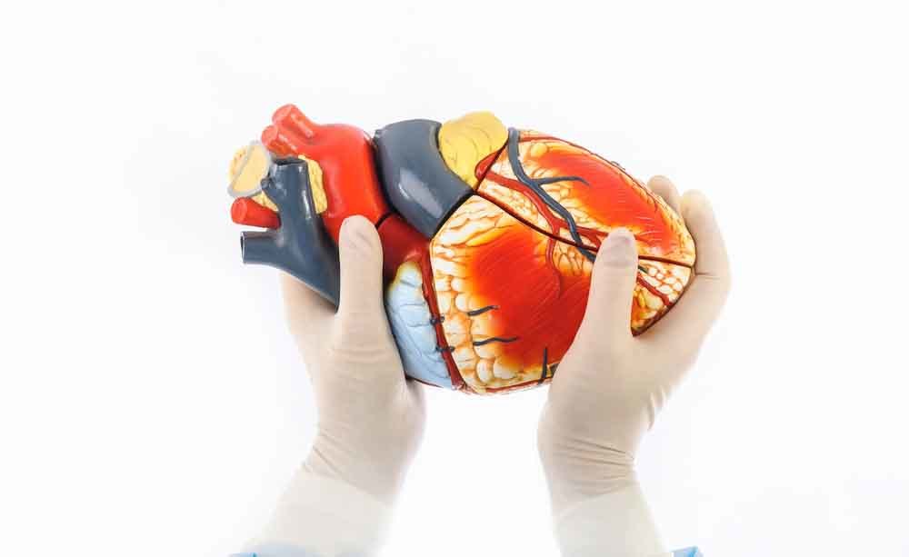 fibrillazione atriale: i rischi per il cuore