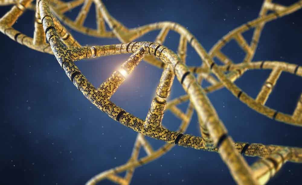 mutazione genetica: le curiosità del DNA