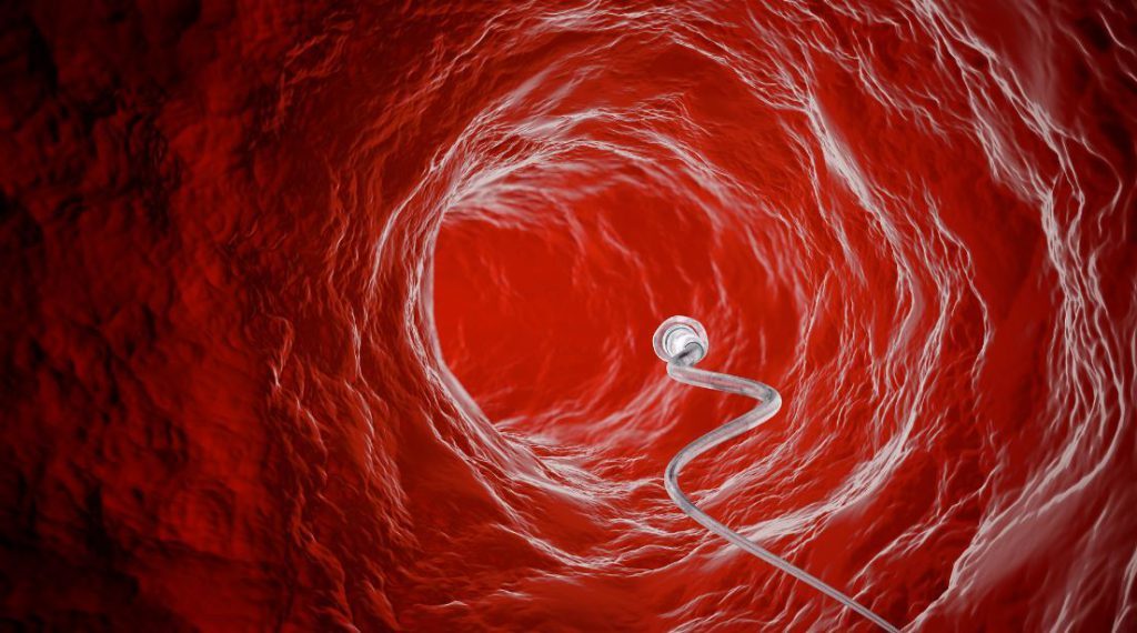 ovulazione: possibile anche in gravidanza