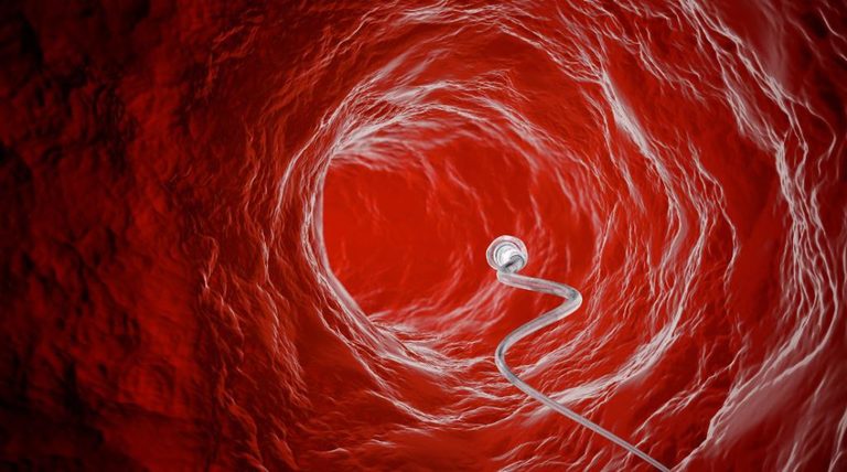 ovulazione: possibile anche in gravidanza