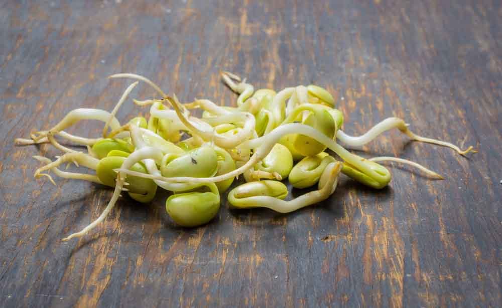 germogli: perché fanno bene alla salute