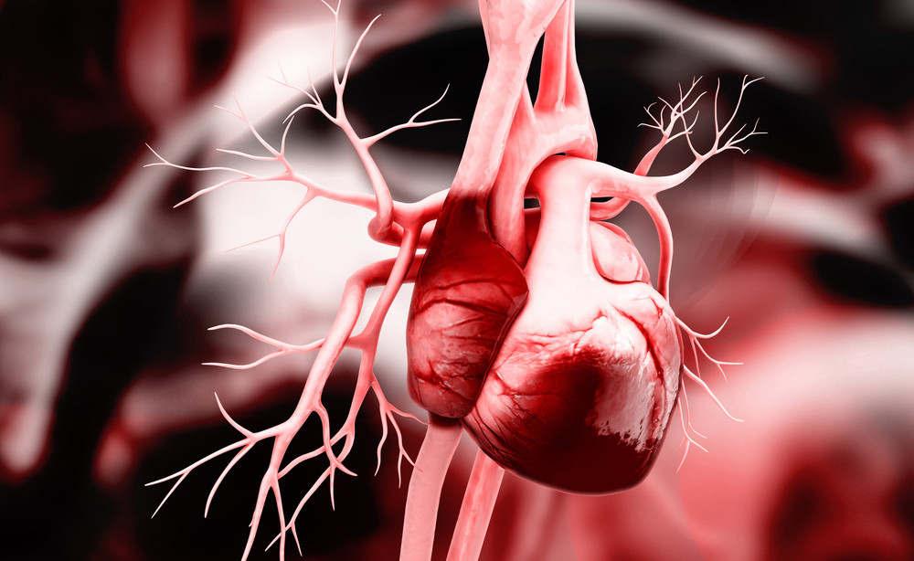 Infarto: come riconoscerne i sintomi della malattia cardiaca