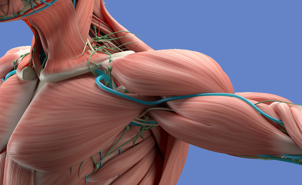 crioterapia: gli effetti fisiologici