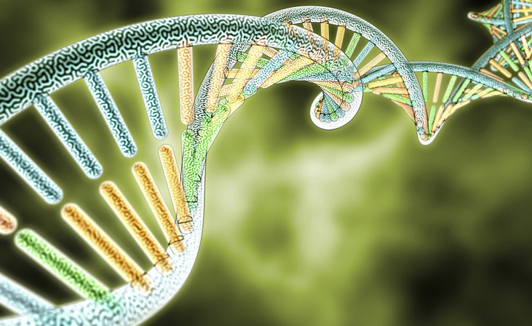 genetica: le sue applicazioni in medicina