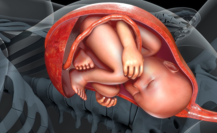 obiettori di coscienza: chi sono e come agiscono