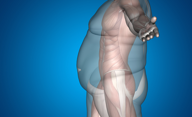 piramide alimentare: il modello da seguire è la dieta mediterranea