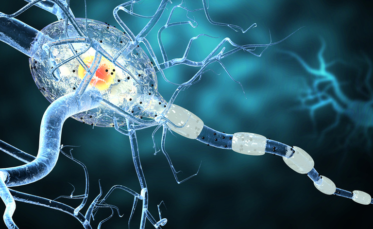 sclerosi multipla: una dieta per stare meglio
