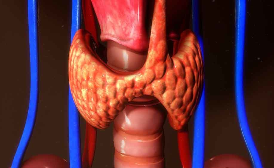 cancro alla tiroide: i trattamenti