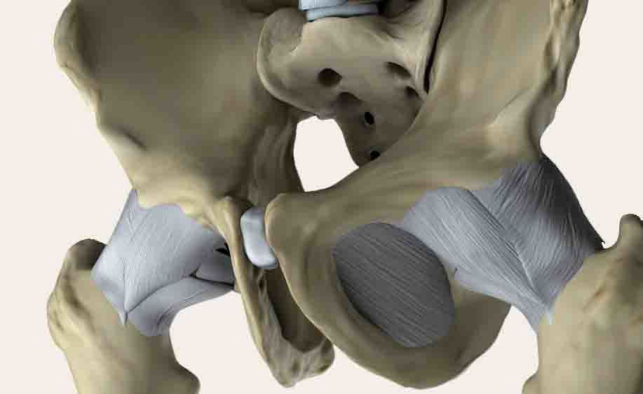 pubalgia: gli esercizi fisioterapici