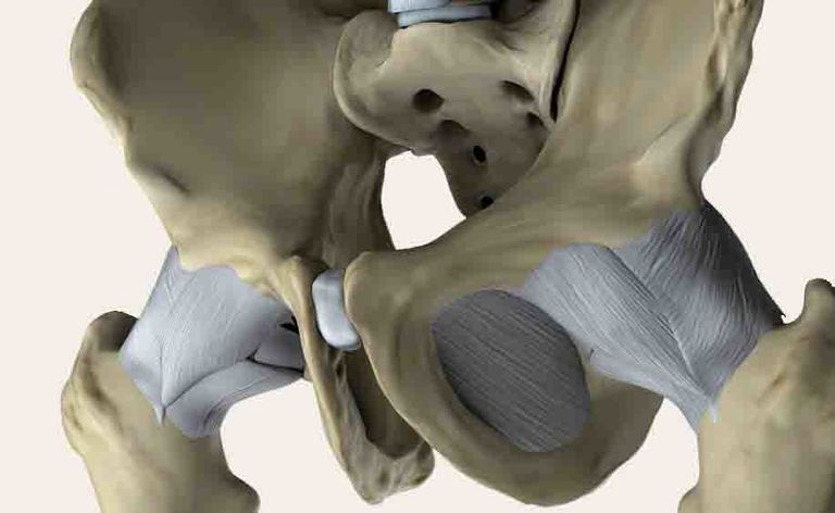 pubalgia: gli esercizi fisioterapici