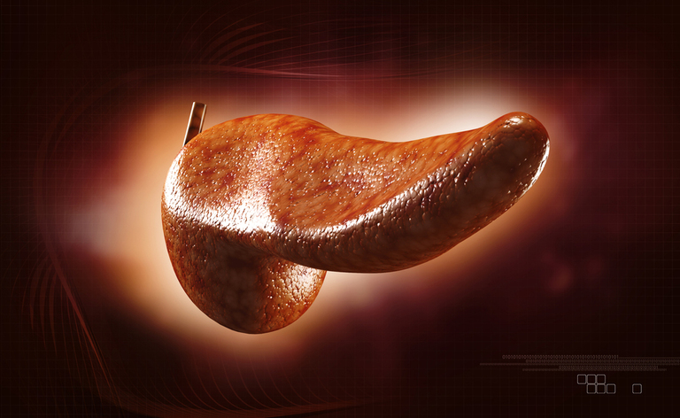 Pancreas e diabete