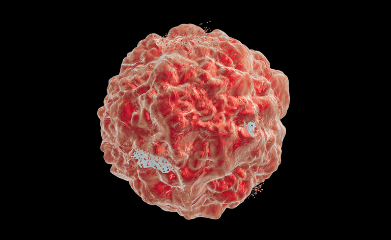 Tumore: test di screening