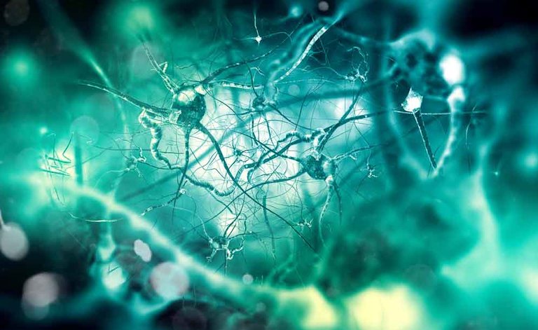 Morbo di Alzheimer: i sintomi