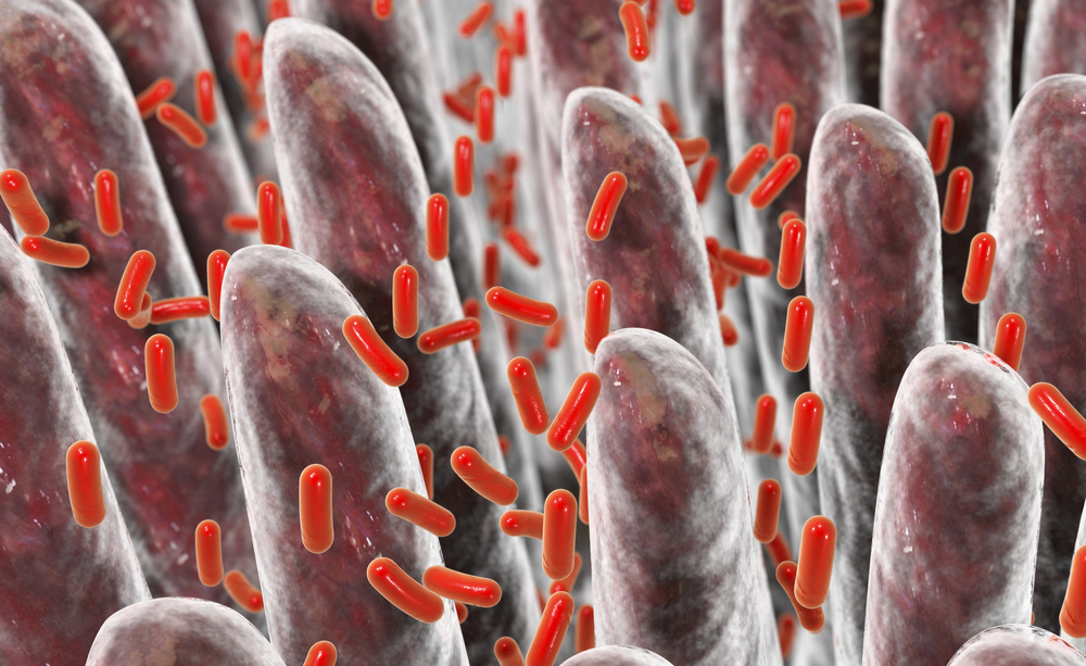 Batteri intestinali: celiachia
