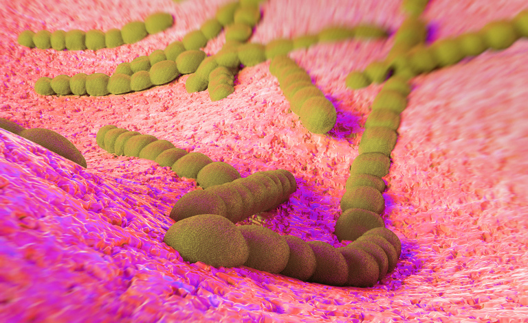 Hai un'otite, sinusite o polmonite in corso? Il vaccino anti-pneumococco potrebbe risolverle: scopri come funziona.