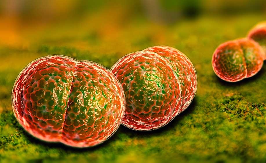 Meningite: quello che è bene sapere