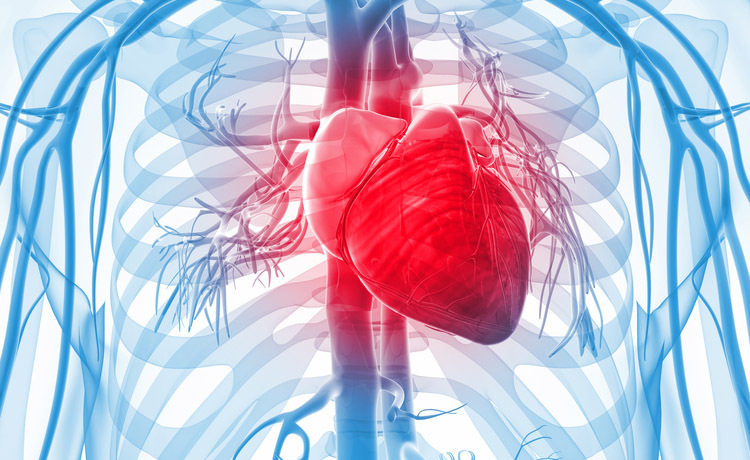 Malattie cardiache: dieta per prevenirle