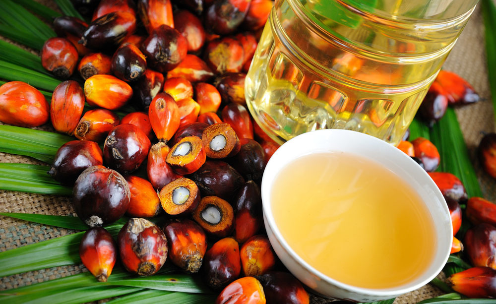 Olio di palma: i pro e i contro