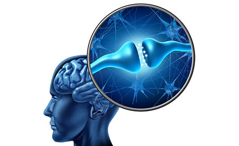 Cure per l'Alzheimer