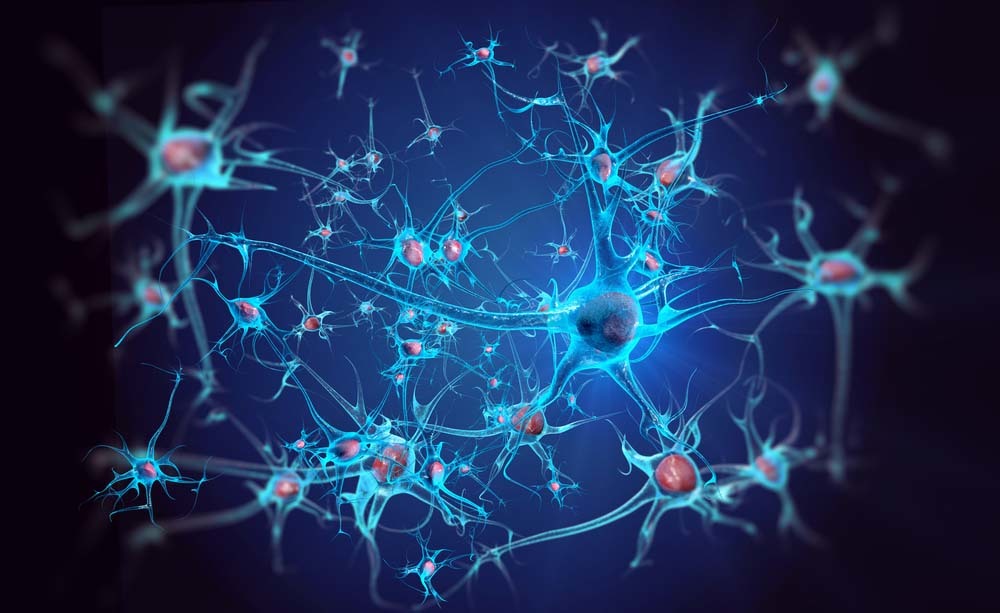 Cellule staminali e sclerosi multipla