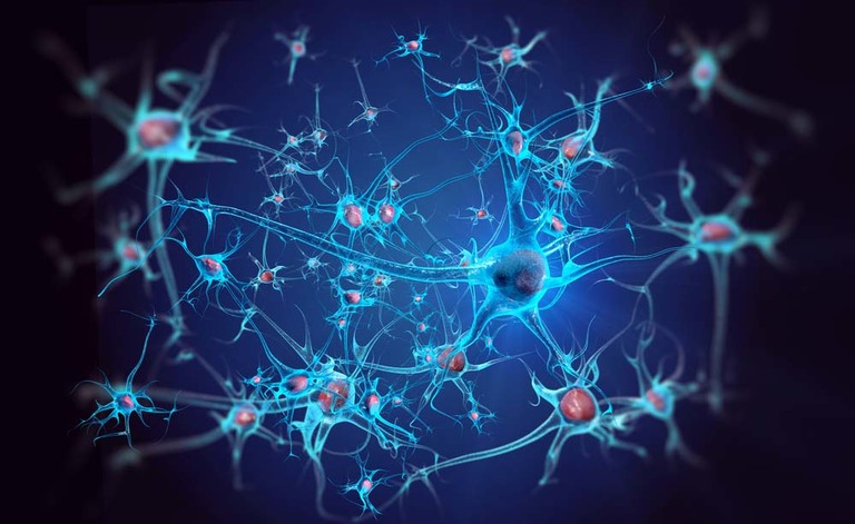 Cellule staminali e sclerosi multipla