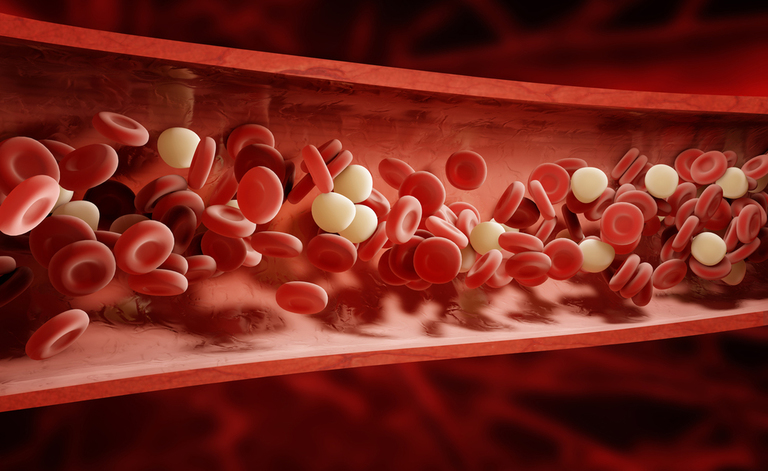 Cicatrizzazione ferite