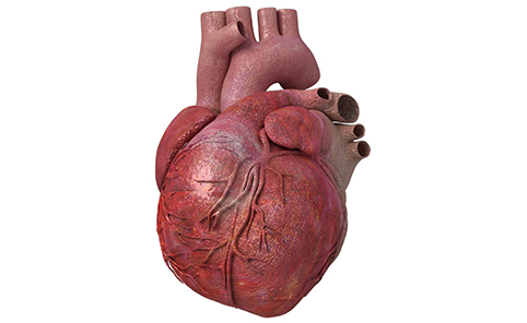 Infarto ed esame del sangue