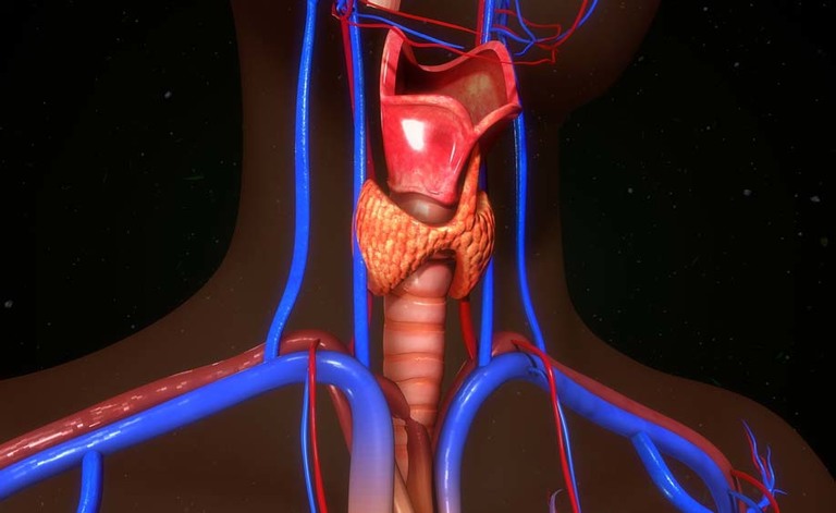 Disturbi della Tiroide
