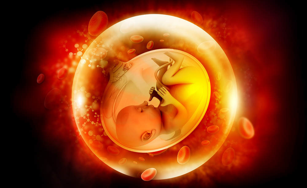 Test prenatali - NIPT: la storia