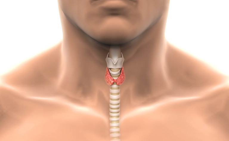 I disturbi alla tiroide e il colesterolo