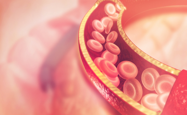 curiosità gruppo sanguigno