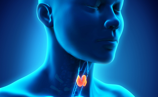 alimenti_tiroide