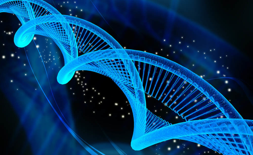 sindrome di Edwards: cosa è