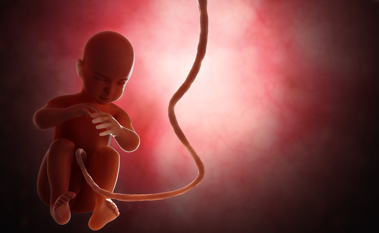 gravidanza Quali sono i fattori di rischio di una gravidanza