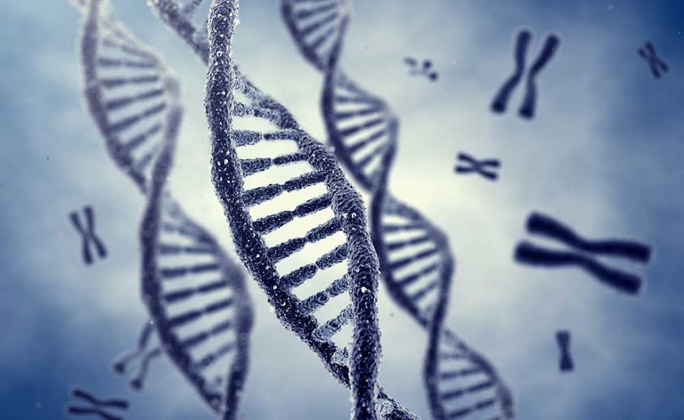 Le Malattie genetiche più comuni