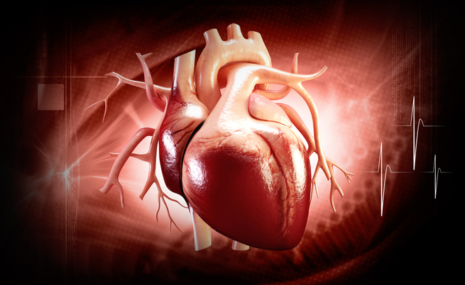 Infarto e malattie cardiache: le buone abitudini per prendersi cura del proprio cuore