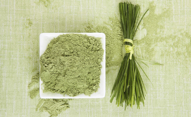 spirulina_blog